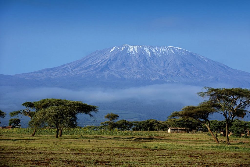 Mount Kilimanjaro view